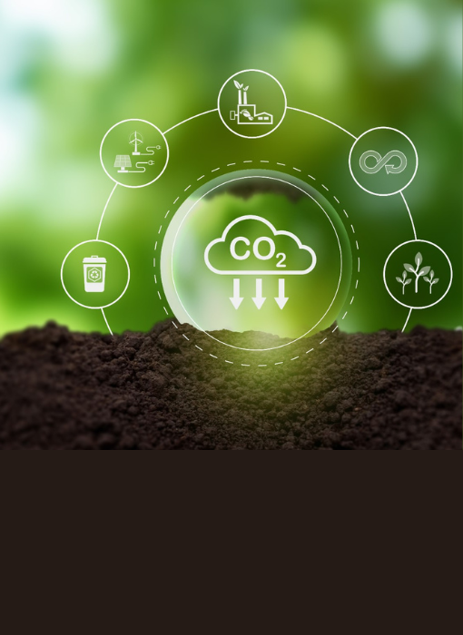 Building design process within teams